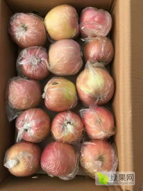2018年陕西大荔红富士价格