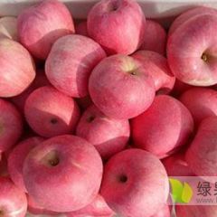 长年供应批发山东威海红富士苹果