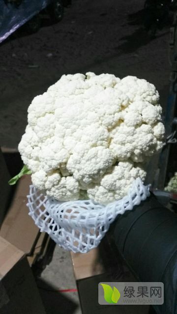2018年河北昌黎白面青梗松花菜价格