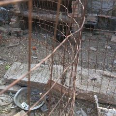 农家黑乌鸡，乌鸡蛋，老母鸡，鸽子