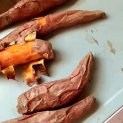 山东省德州市夏津县烤红薯专用