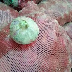 聊城二红洋葱大量出库中