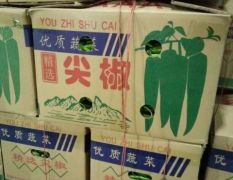 广州江南市场专业代卖全国各地各种蔬菜