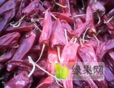 山西定襄北京红油椒等各种干辣椒全面上市