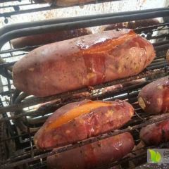 烟薯25抢购中……好不好自己看