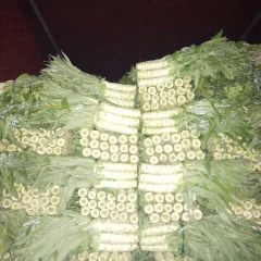 香河大棚莴笋老板都哭了