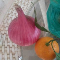 东昌府洋葱 聊城二红皮，半高桩