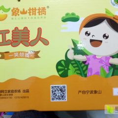 象山红美人柑橘别称爱媛28