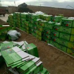 甘肃武威大漠吊西瓜