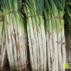 为客商朋友收好货，高质量、高标准。