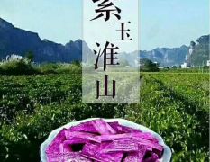 广西桂林产地的紫玉淮山，则为宝中之佳品！