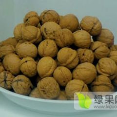 陕西礼泉自产核桃优惠出售了