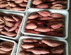 天津市宝坻区烟薯25 货源充足 长期供货红薯，薯干
