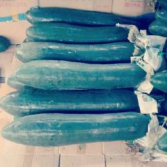 玉林秋季储存冬瓜，即将陆续上市中