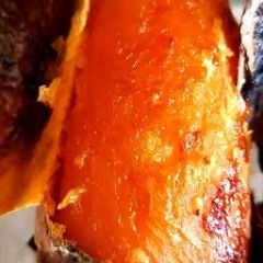 腾腾家庭农场种植