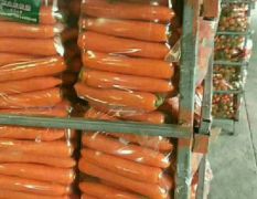 河南开封大量供应胡萝卜。品质好价格优
