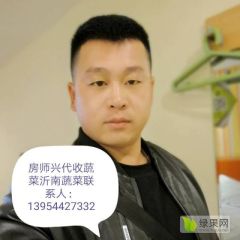 山东沂南现在大量供应沂南蔬菜