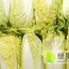 徐州大量优质娃娃菜上市