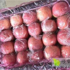 大量供应优质红富士苹果