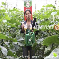 想要黄瓜长得直，这样施肥