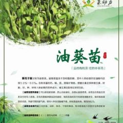 食疗养生有机芽苗菜，纯水培育，无添加