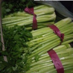 供应西芹，香芹 大棚芹菜