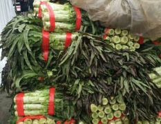 沂南县辛蔬菜批发市场 现陆地，大棚 莴苣大量