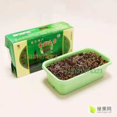 南宫特产黄韭盆景送礼佳品绿色无公害绿色食品送健康