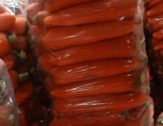 河南焦作三红水洗红萝卜精品上市