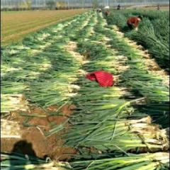 高质量说明一切 诚信为本