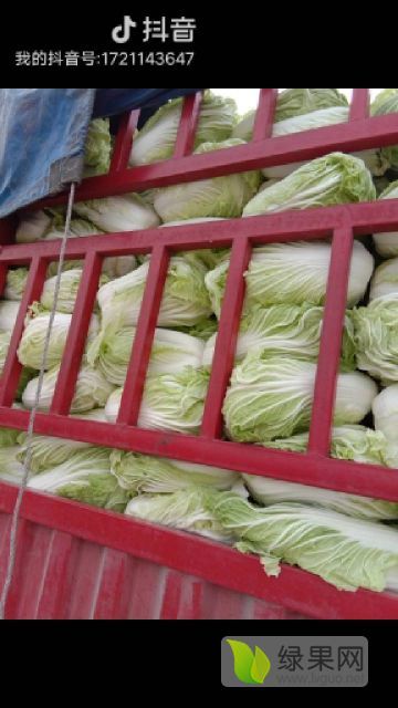 2018年河南夏邑青杂三号价格
