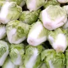 鸡腿白菜，有需要的电话联系