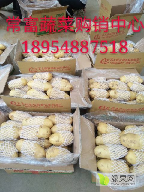 2018年山东肥城冷库土豆价格