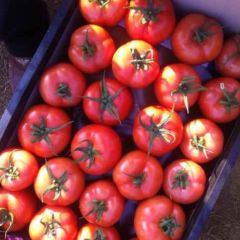 山东省日照市莒县莒沂汇蔬菜市场