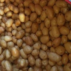 土豆，沽源县优质土豆，张小云代办