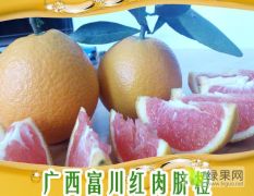 中国长寿之乡脐橙之乡富川脐橙沃柑