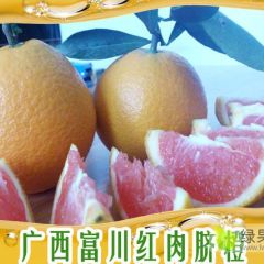 中国长寿之乡脐橙之乡富川脐橙沃柑