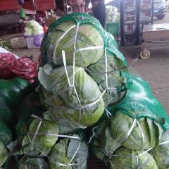 白沙洲大市场包菜大量上市，价格随行就市。