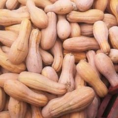 我地金韩密本，质量很好，热销中