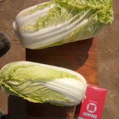 农户自产自销，诚信第一