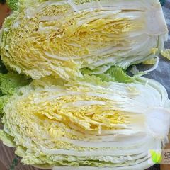 山东黄心白菜大量供应，有各种黄心白菜品种