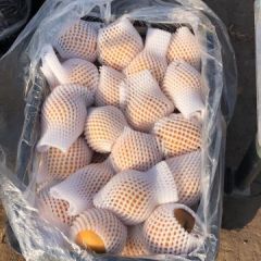 廊坊文安县原产地直销大量晚秋黄梨