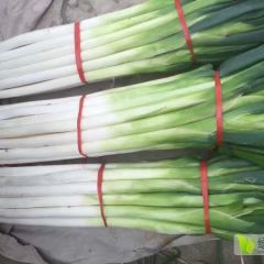 自产自销，绝对正宗，为章丘农民代言的大葱