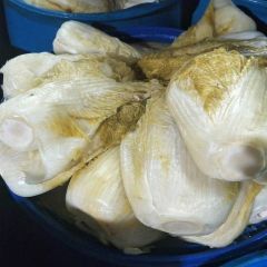 东北凌海酸菜！黄心，颗大，心满，酸度高！