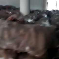 五百吨精品红薯已经入库有需要的老板可以联系