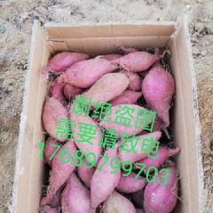 桥头富硒地瓜（地瓜妹)