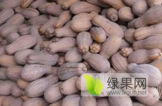湖北特大南瓜基地直销，大量库存金韩南瓜精品
