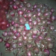 二红洋葱质量很好