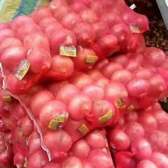 洋葱一毛二13280096262