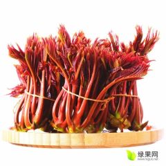 椿芽营养丰富，并具有食疗作用